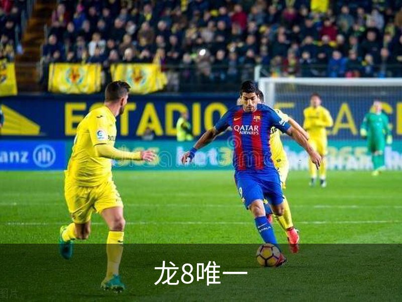 龙8唯一简介